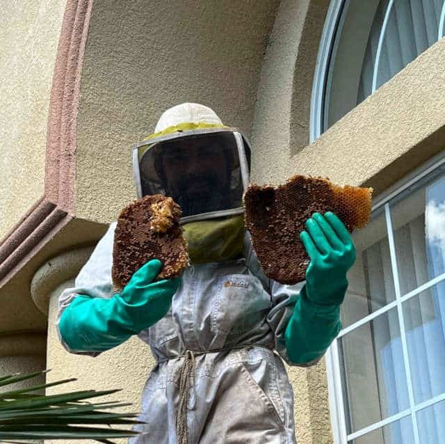 Keller Services doing Bee Removal